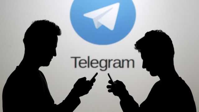    ,        Telegram