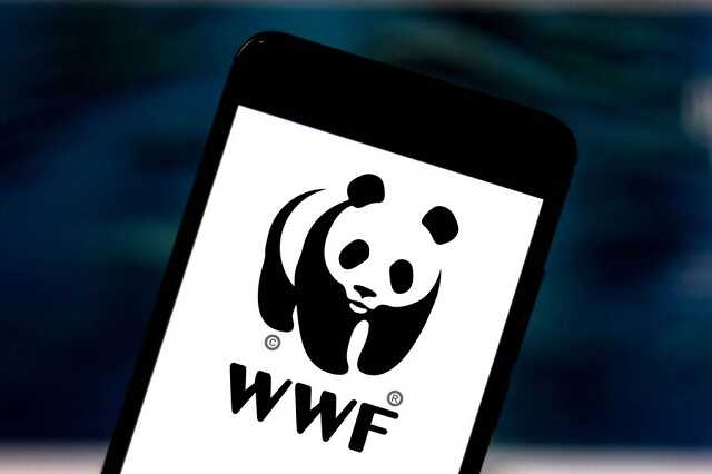 WWF            